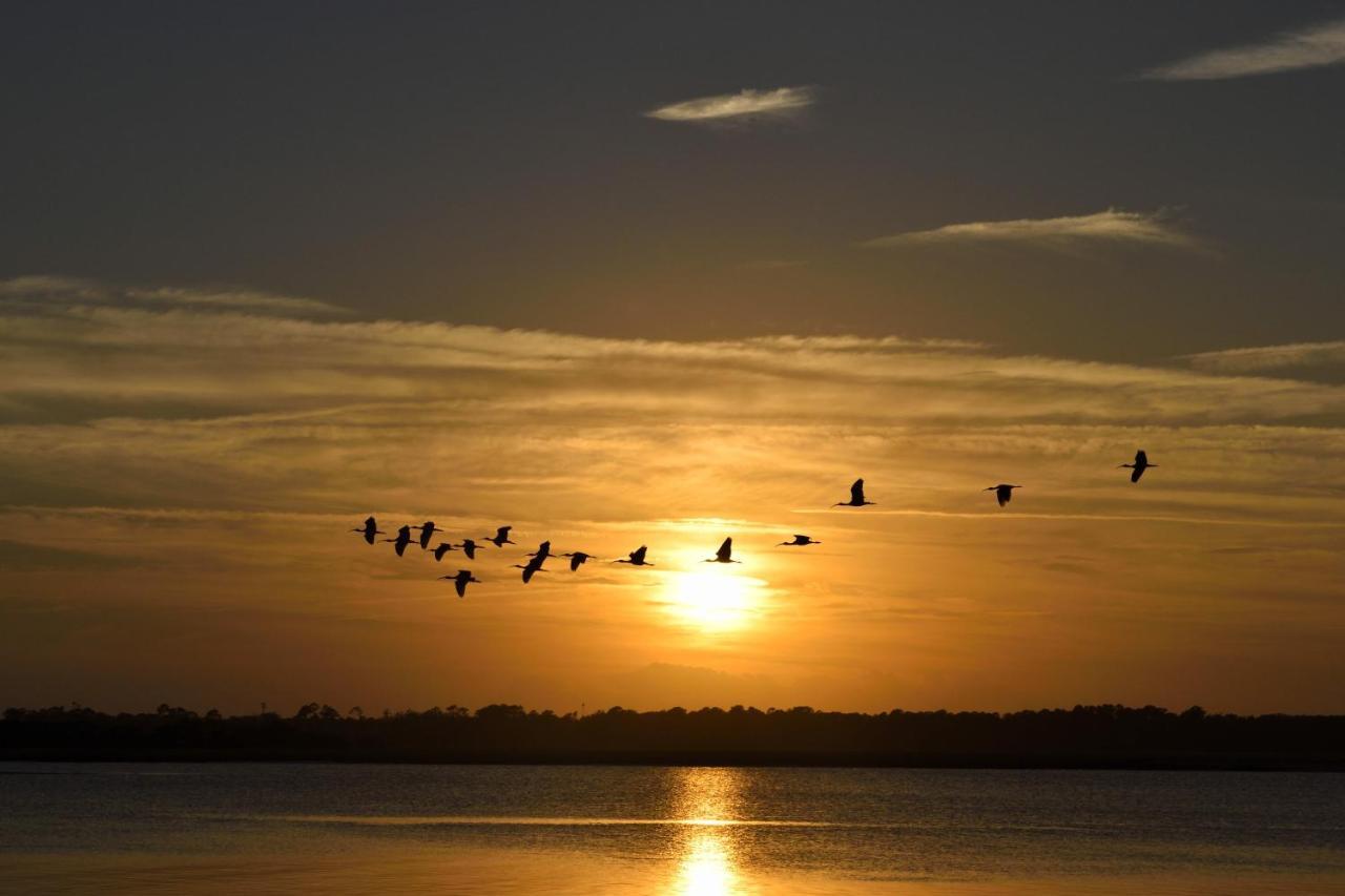Manzini Chalets Saint Lucia Estuary 外观 照片